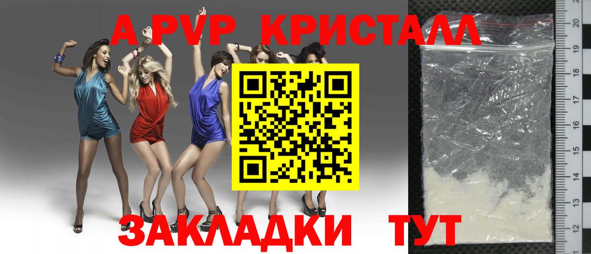 Alfa_PVP СК Краснознаменск