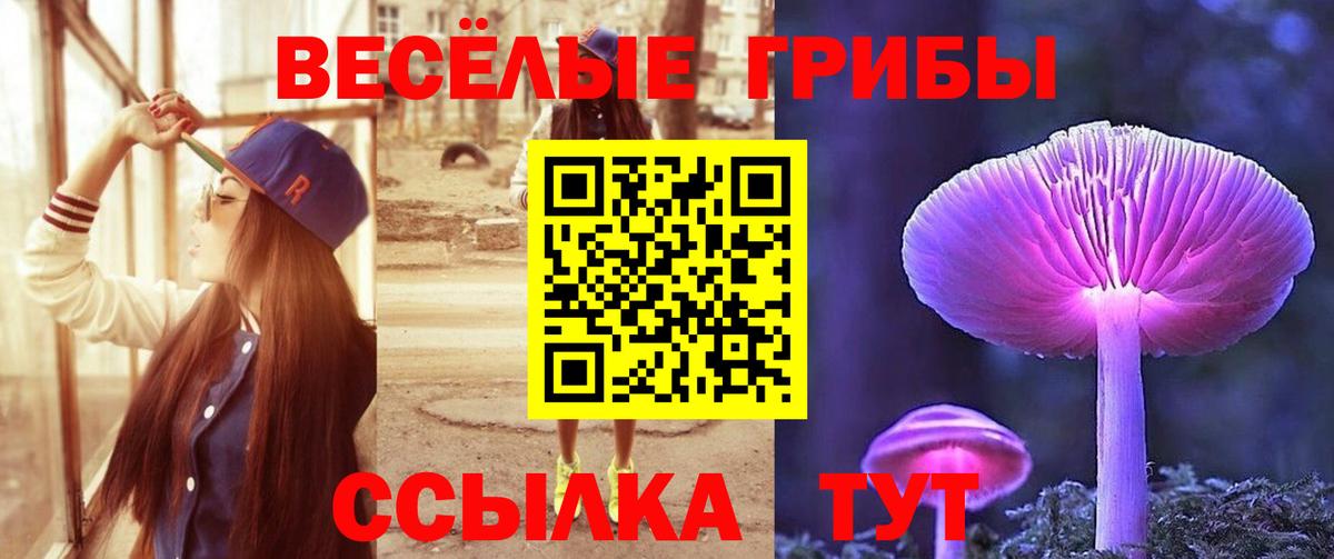 Псилоцибиновые грибы MAGIC MUSHROOMS Краснознаменск